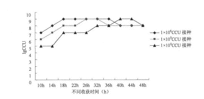 Chinese isolate of Leachiii mycoplasma, isolation medium and purpose thereof