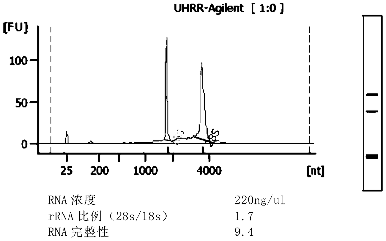 Construction method and application of rna library enriched with original transcript information