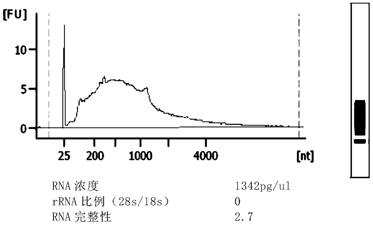 Construction method and application of rna library enriched with original transcript information