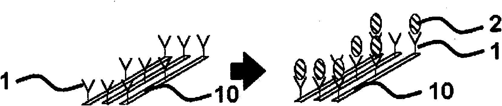 Biosensor containing 3-dimensional metal nano-wire electrode which forms nano channel, manufacturing method and bio-disc system containing the biosensor