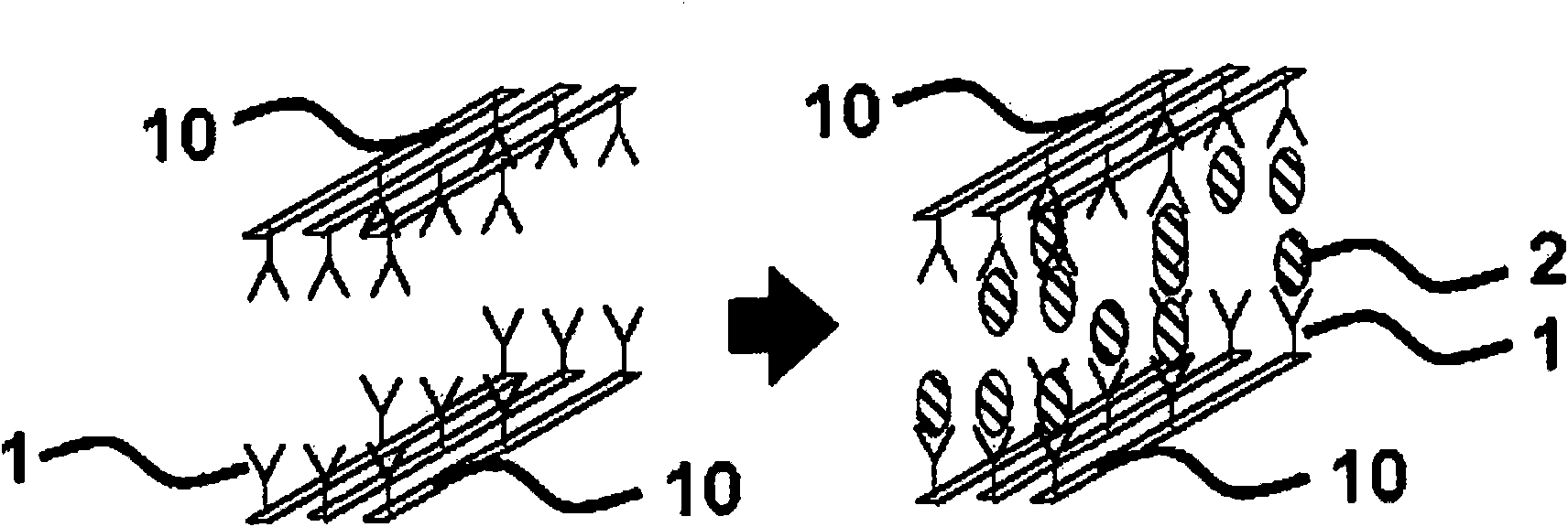 Biosensor containing 3-dimensional metal nano-wire electrode which forms nano channel, manufacturing method and bio-disc system containing the biosensor