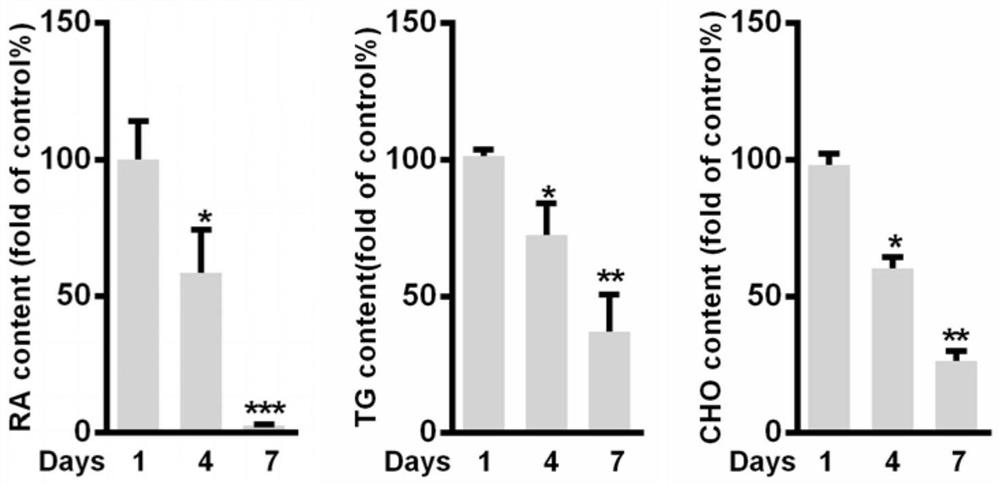 Application of perilipin1 expression intervention agent in the preparation of anti-hepatic fibrosis drugs