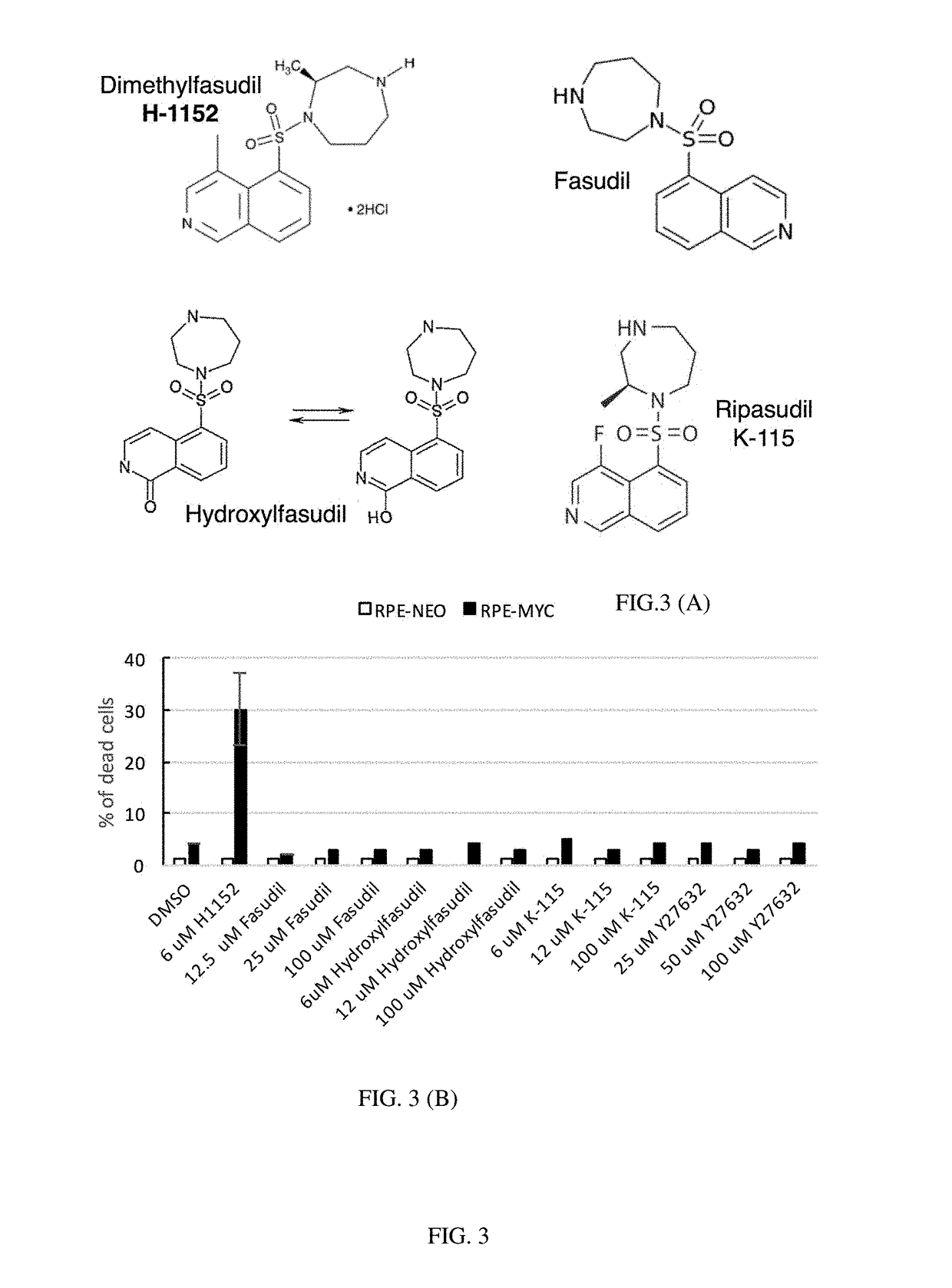 Process for Exploiting Synthetic Lethality Based on OverExpression of MYC Oncogene