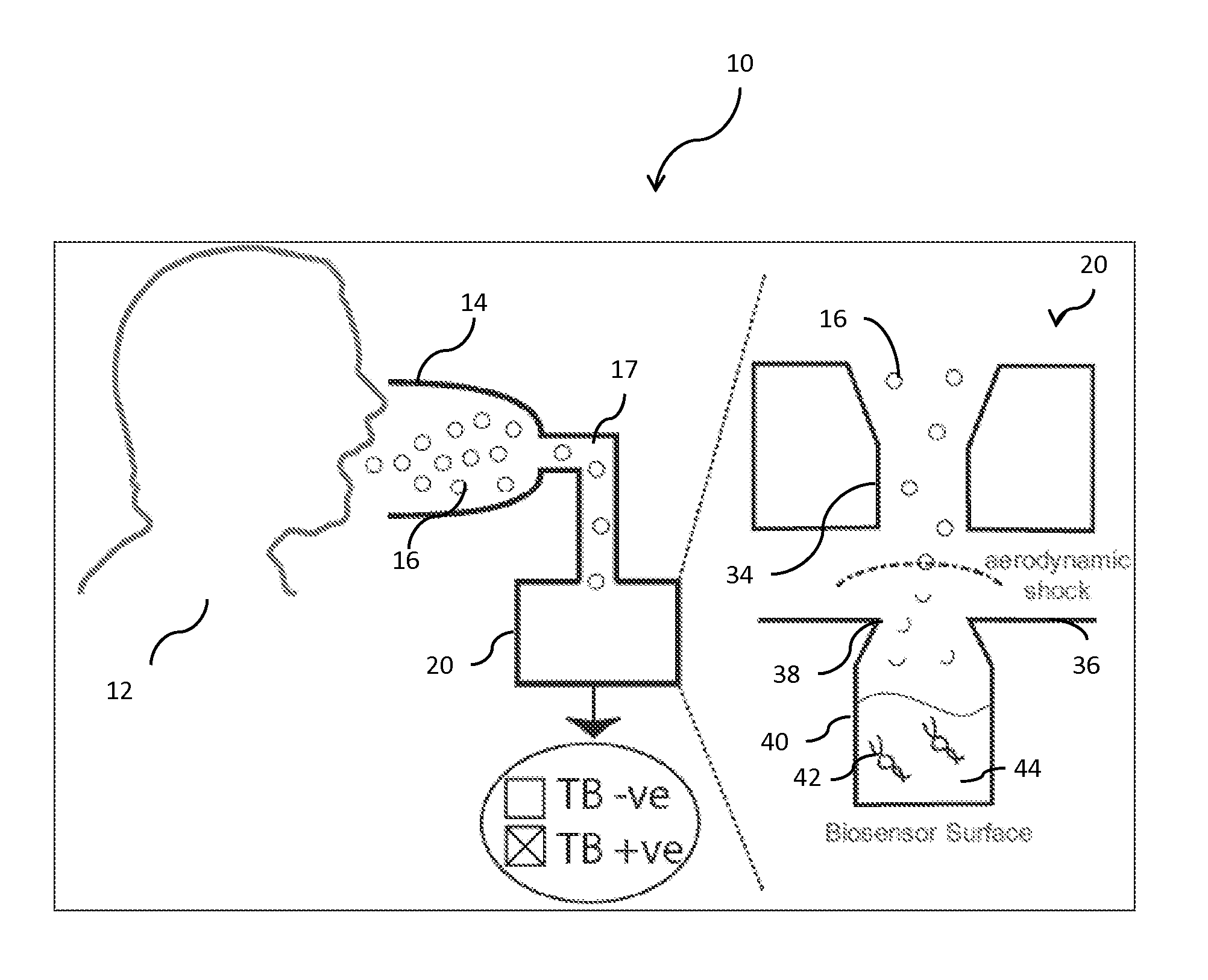 System for airborne bacterial sample collection and analysis