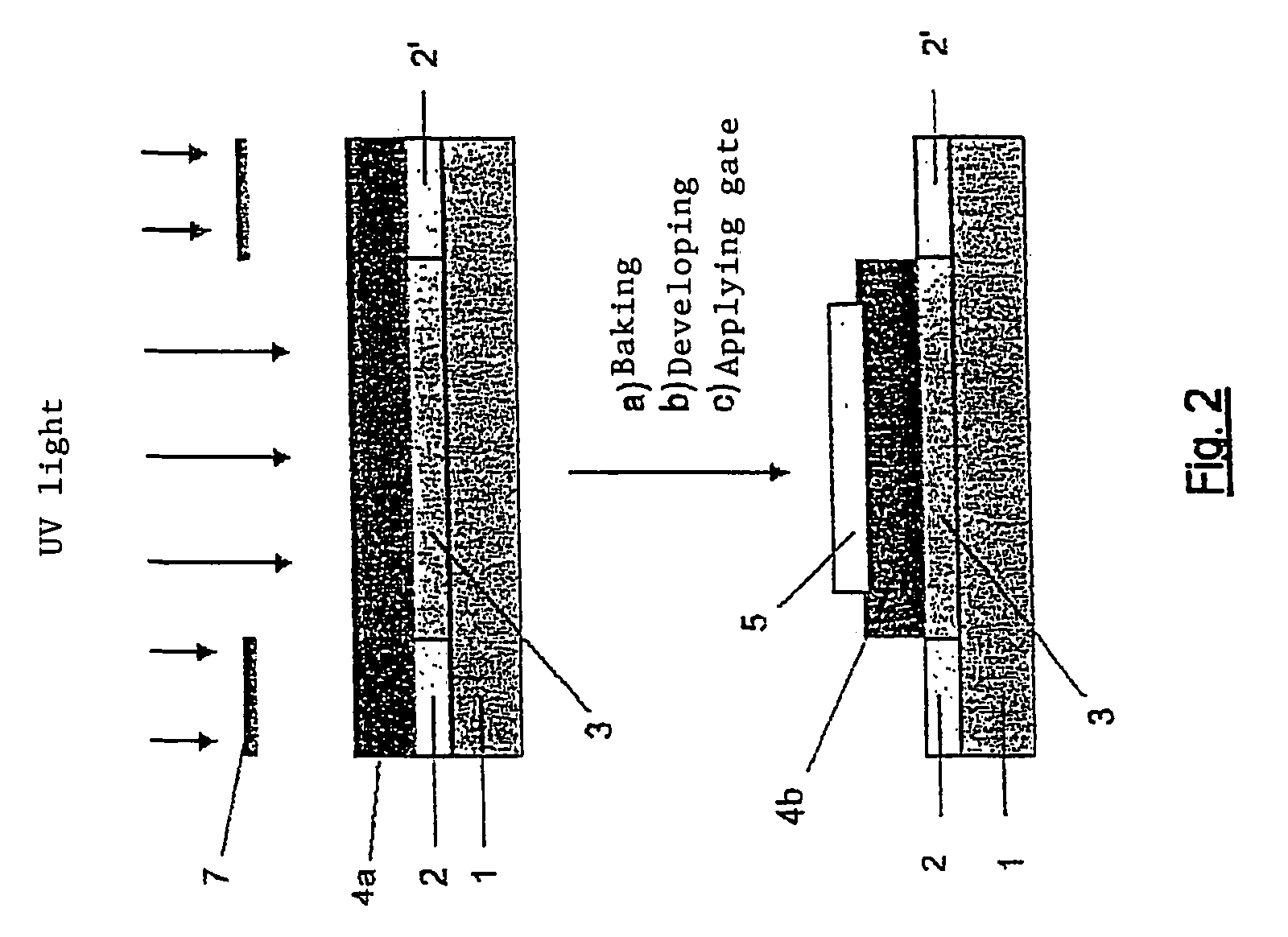 Organic field effect transistor with a photostructured gate dielectric, method for the production and use thereof in organic electronics