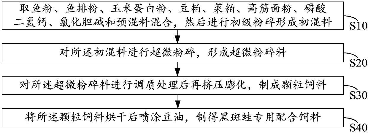 Special compound feed for paramisgurnus dabryanus and preparation method thereof