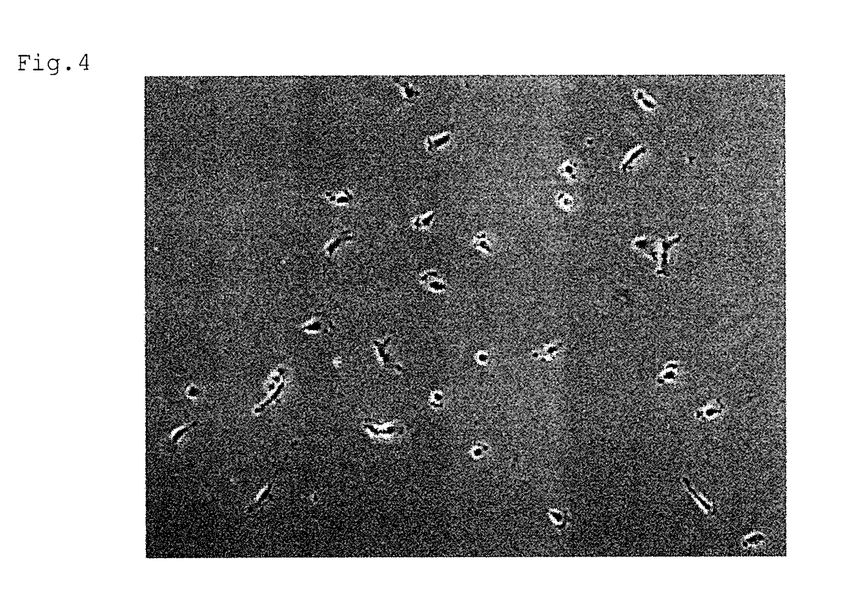 Method for producing frozen mesenchymal cells and method for producing implantable therapeutic member