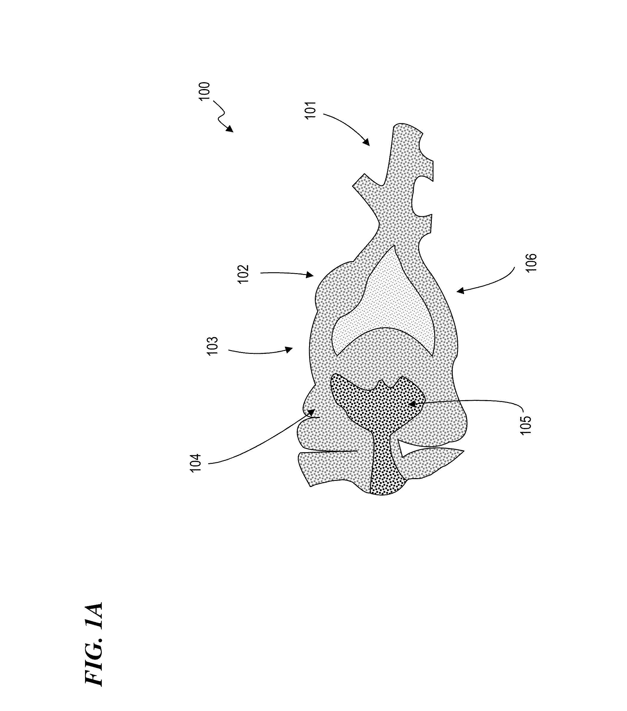 Apparatus and method for managing chronic pain with infrared and low-level light sources