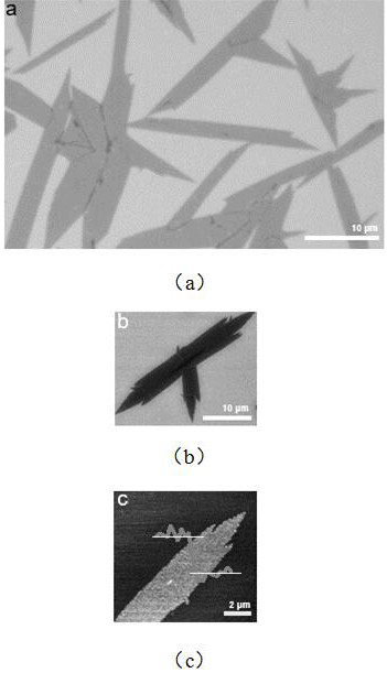 Confinement chemical vapor deposition preparation method of two-dimensional molybdenum ditelluride nano material