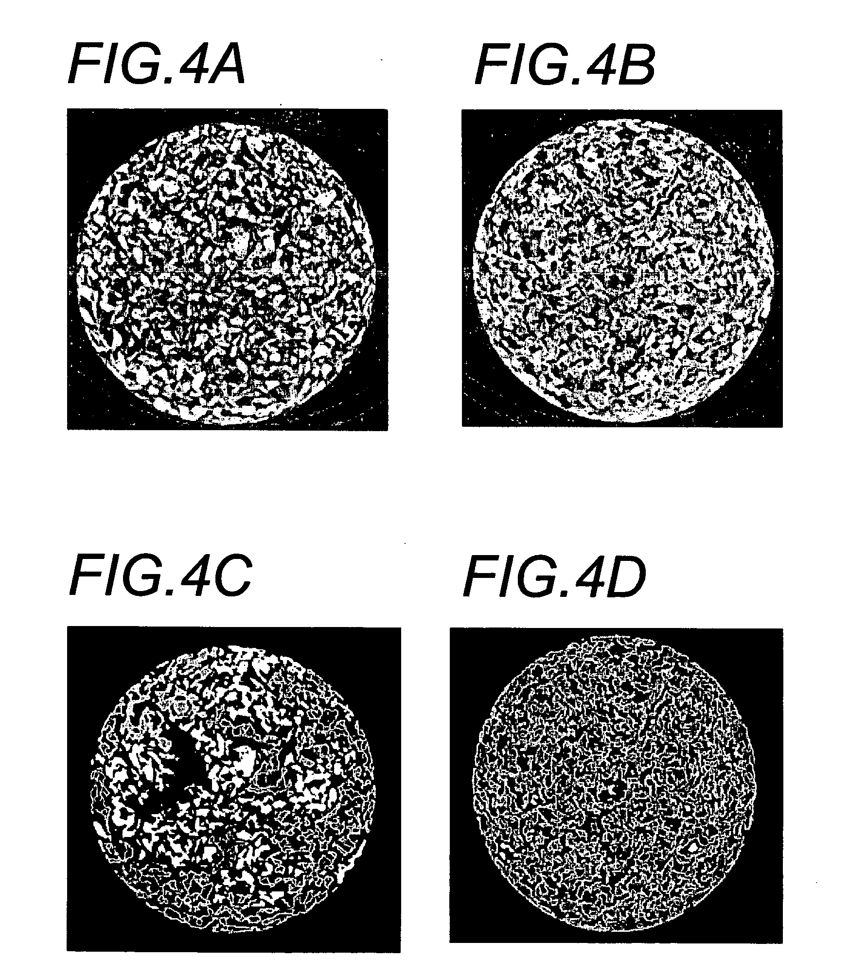 Cell permeable structural implant