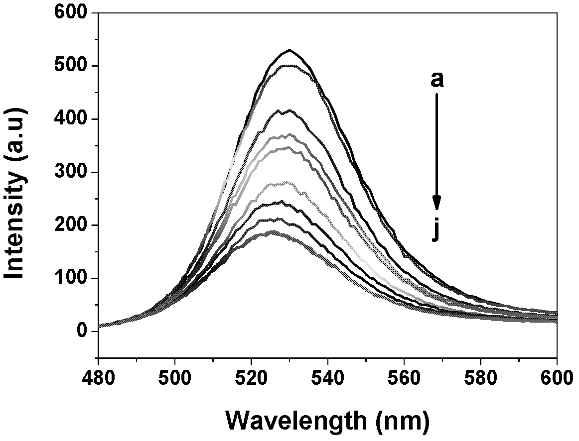 Fluorescence biosensor for detecting high-sensitivity copper ionss and detection method thereof