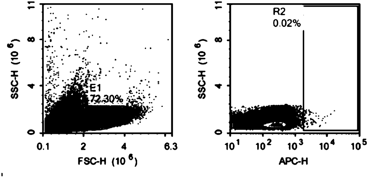 Specific antibody with CD20 as target, CAR-NK cell and preparation and application of CAR-NK cell