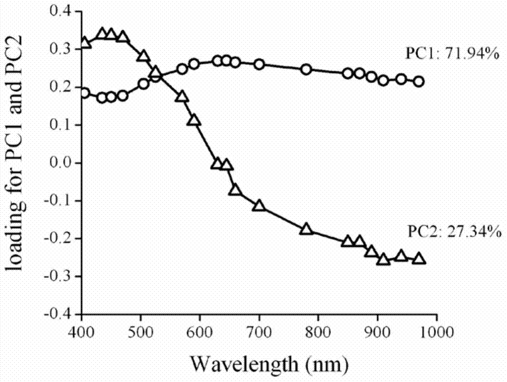 Rapid non-destructive testing method for melon seed quality characteristic based on spectral imaging technique