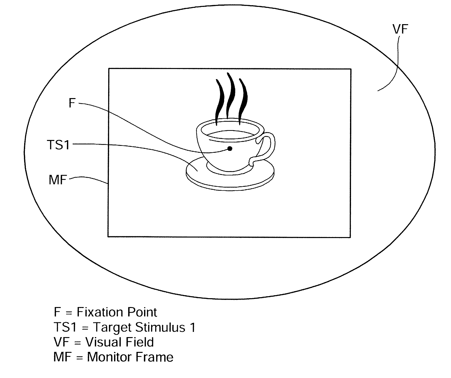 Process and Device for Treating Blind Regions of the Visual Field