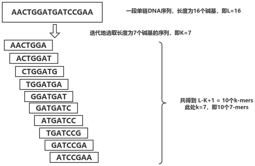 Pathogen analysis method and device based on high-throughput sequencing and computer equipment