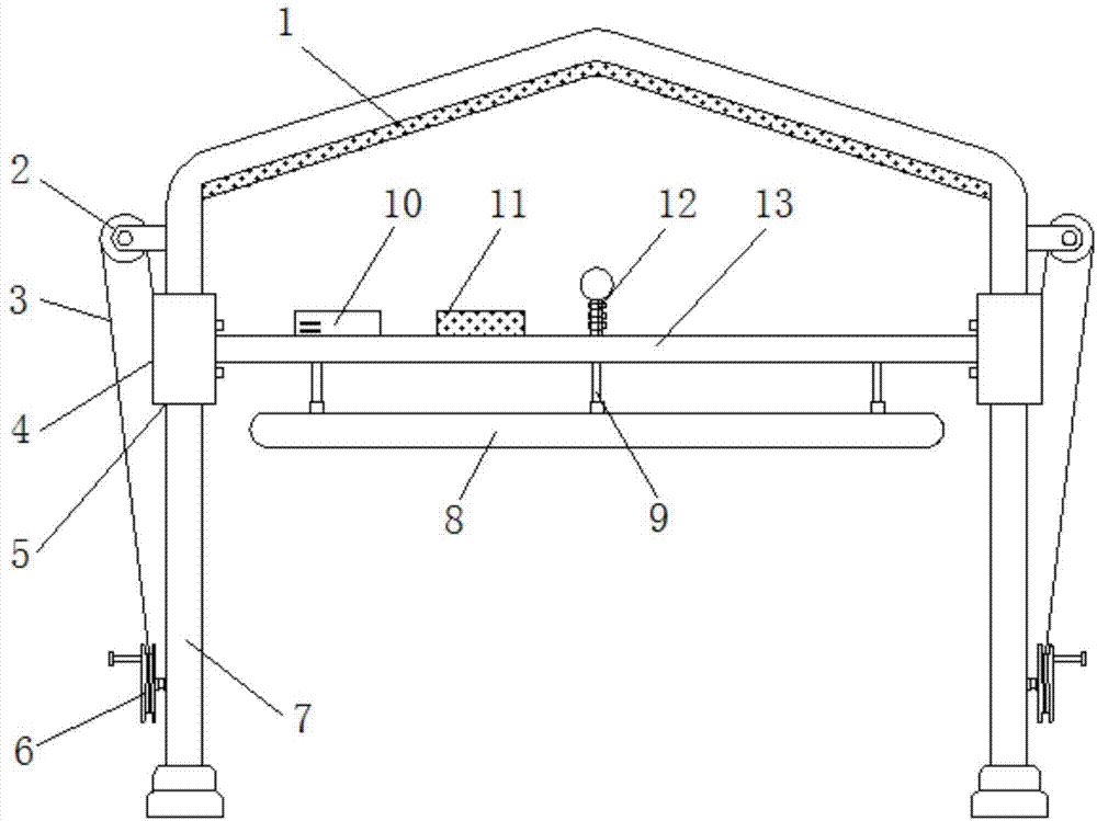 Infrared lamp tube for high-efficiency chicken farm