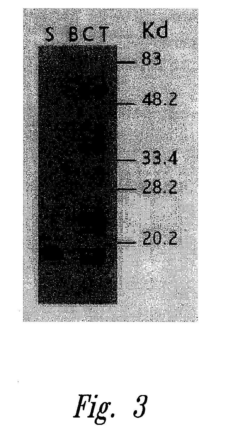 Devices containing DNA encoding neurotrophic agents and related compositions and methods