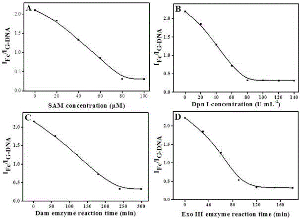 Double electrical signal and DNA circulating amplification technique-based Dam methyltransferase activity detection method