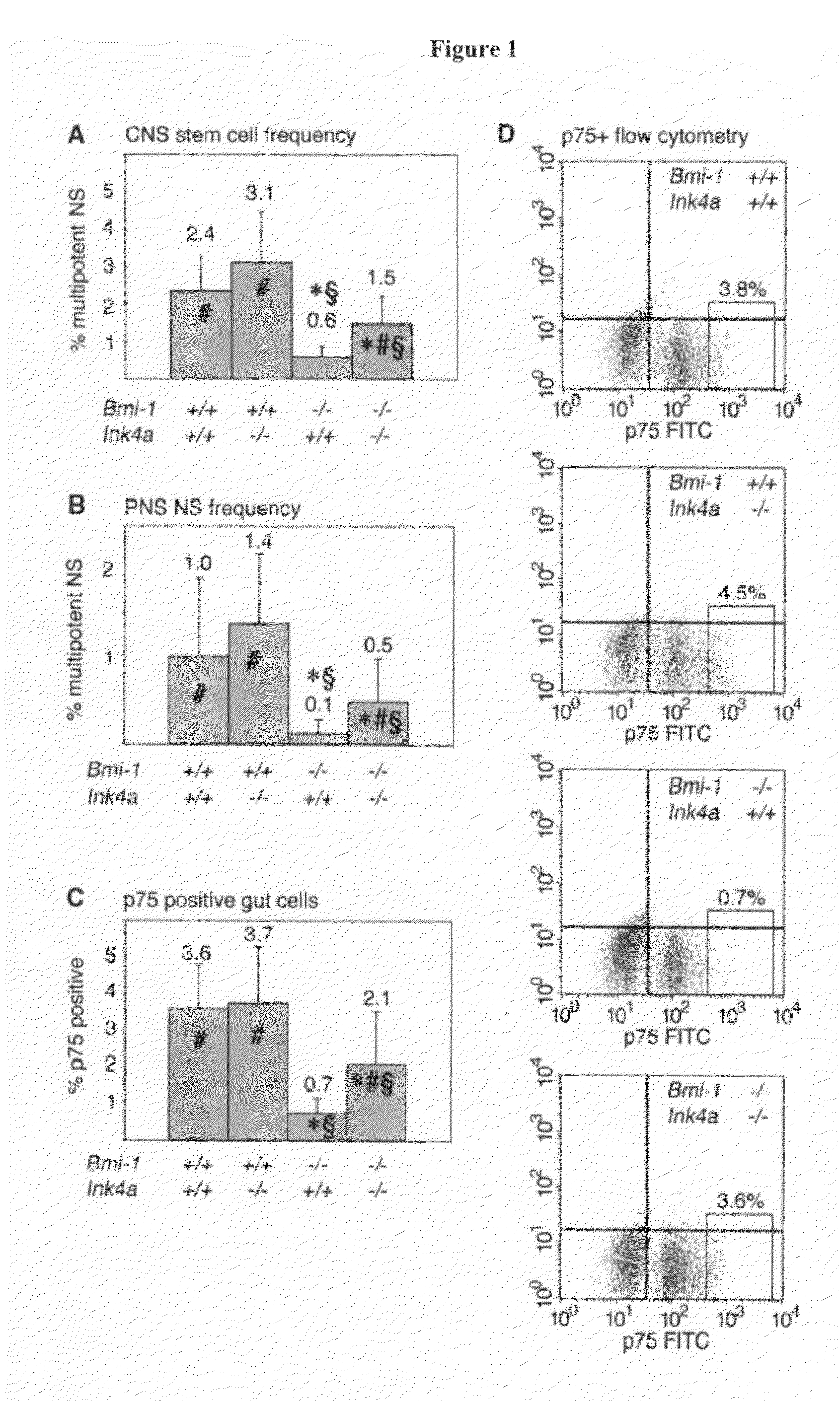 Compositions and methods for repressing the Ink4a and Arf senescence pathways