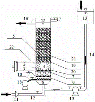 Upward galvanic electricity biological coupling water purification system and water purification method