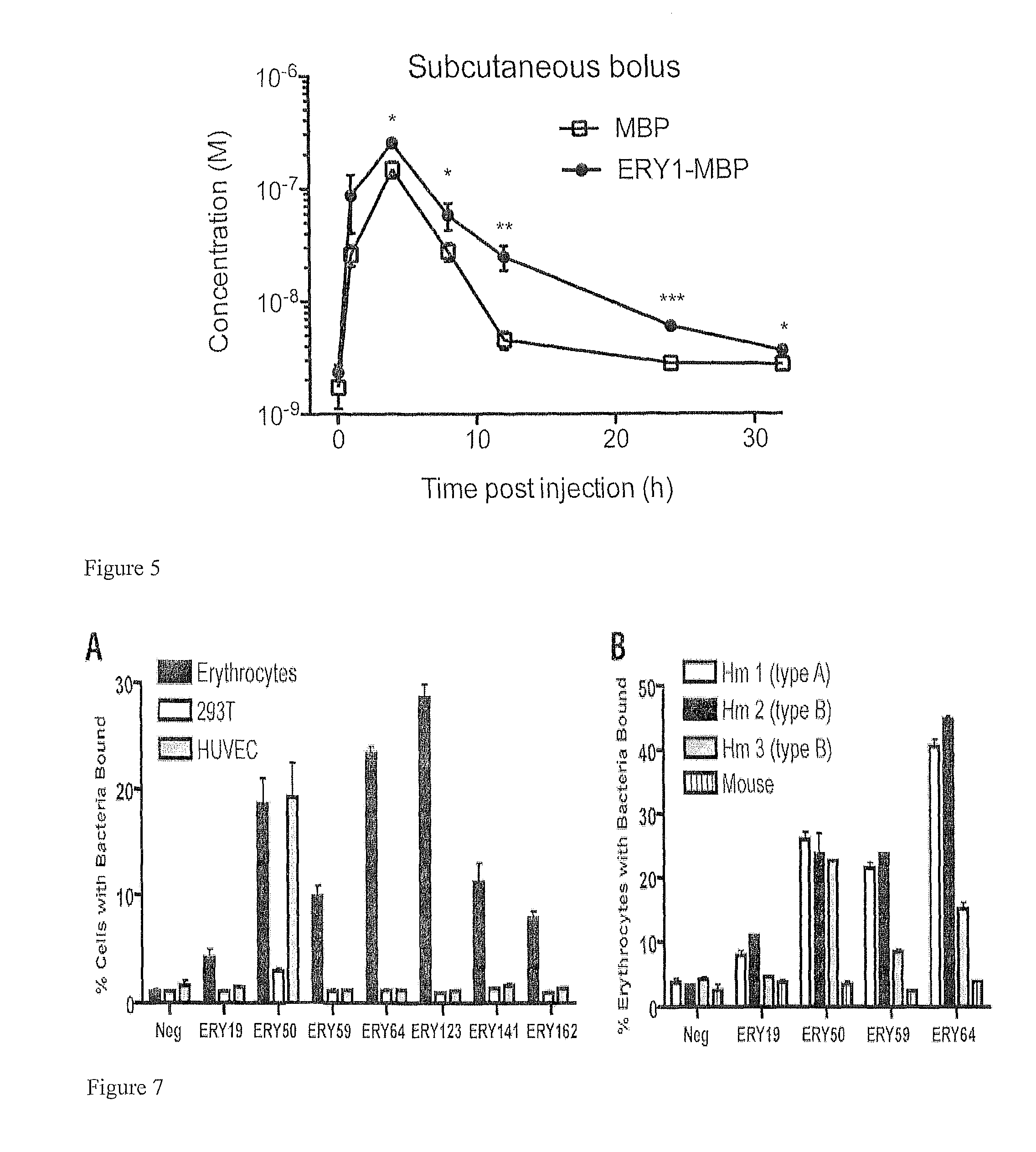 Erythrocyte-binding therapeutics