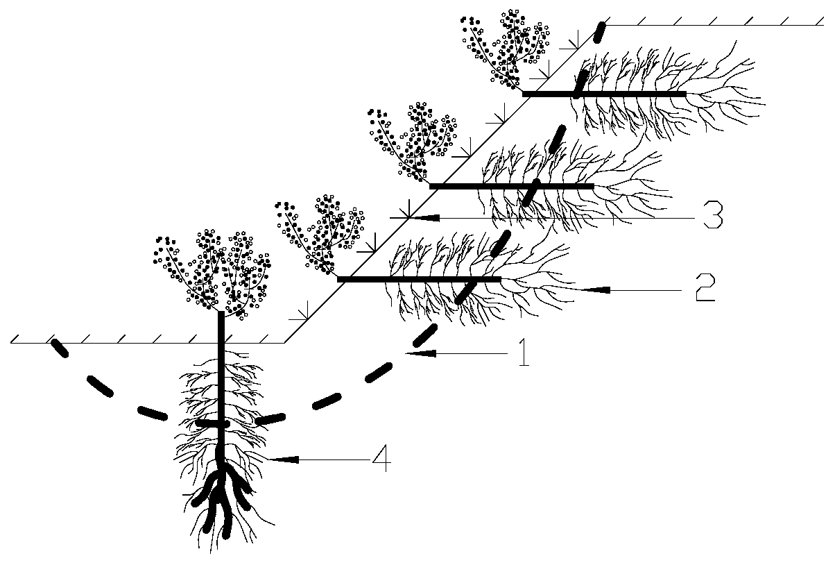 Living stump-living plant reinforced soil slope supporting structure and construction method thereof