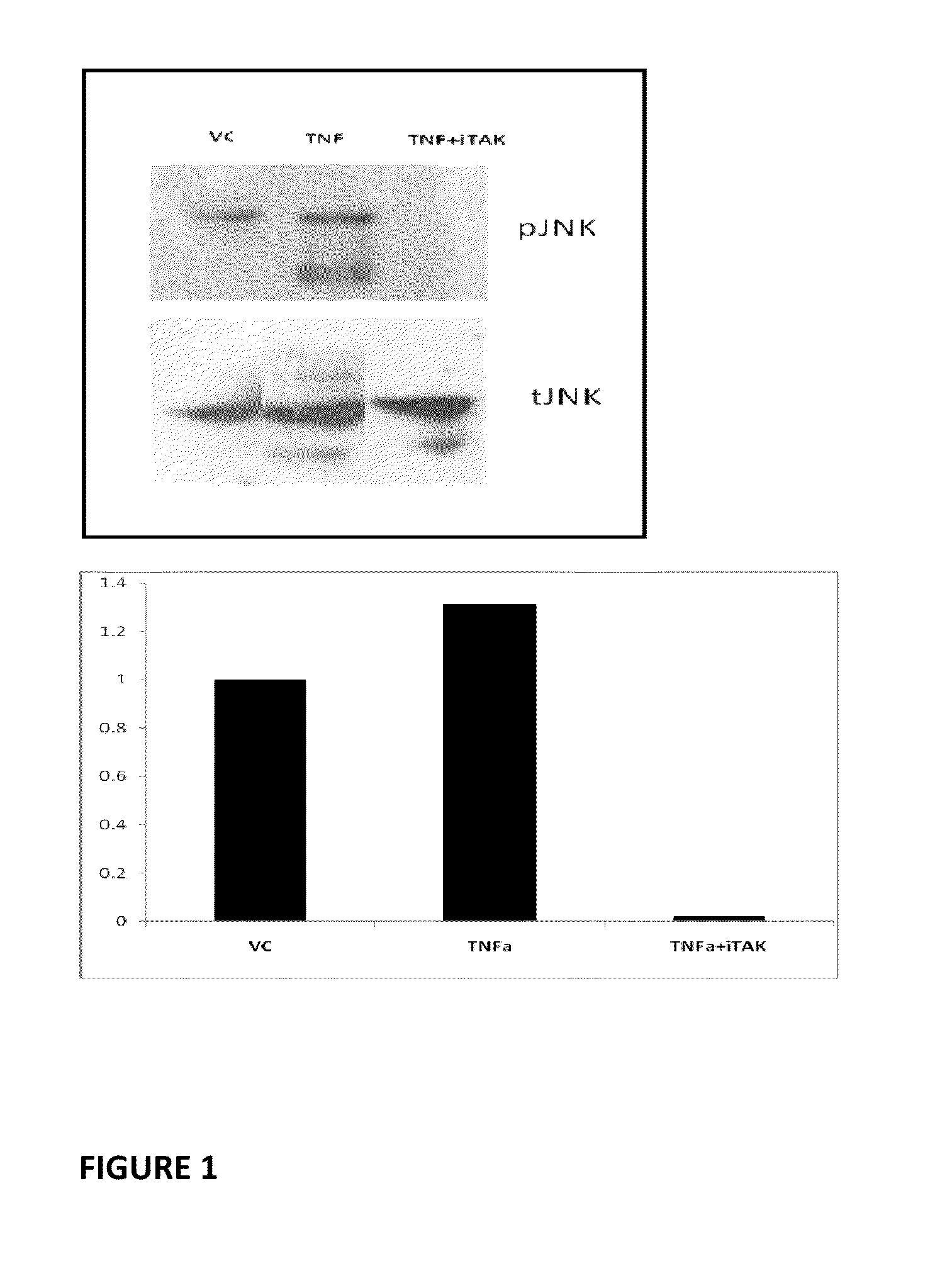 Use of TAK1 Inhibitor to Achieve Glycemic Control in Mammals