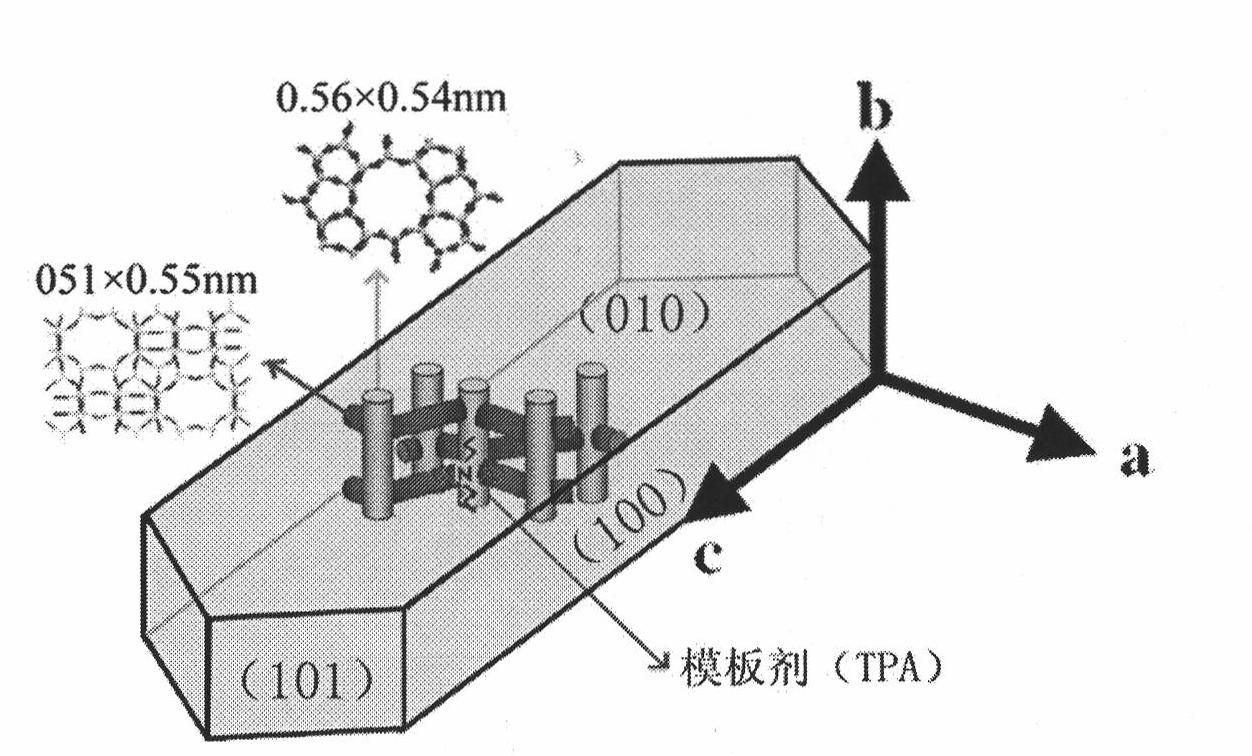 Method for preparing oriented molecular sieve membrane by using diauxic growth method