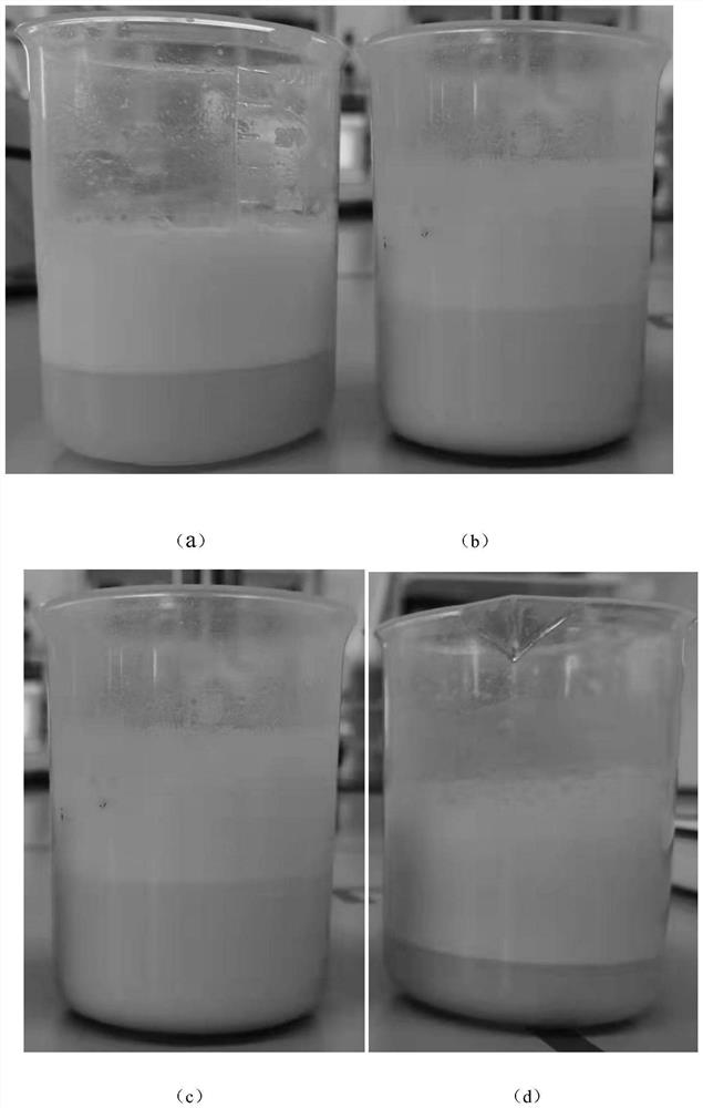 Extraction method of peony isolated protein with high emulsibility and oil absorbency