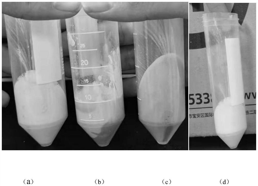 Extraction method of peony isolated protein with high emulsibility and oil absorbency
