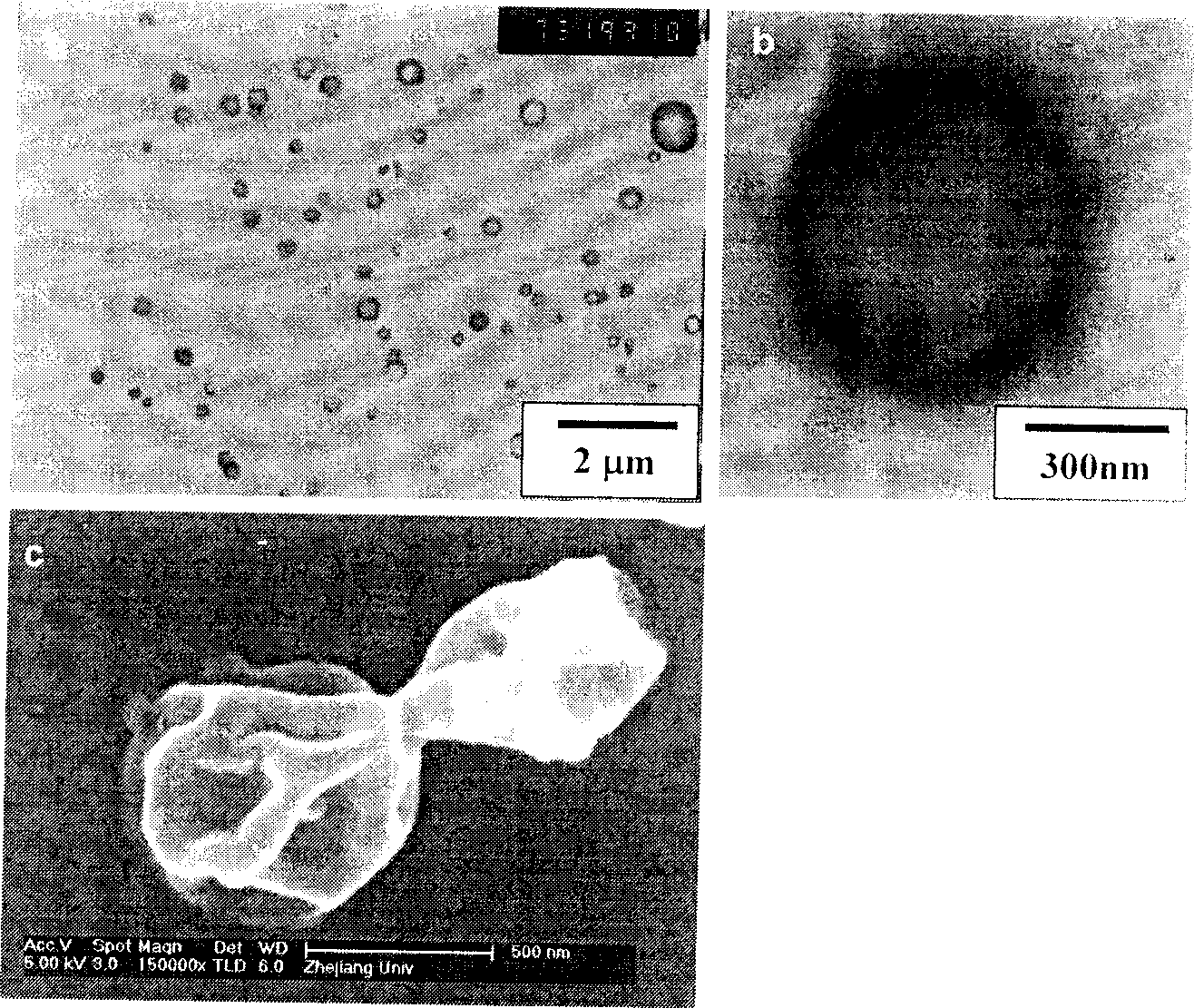 Oil-soluble medicine degradable polymer microcapsule injecta and preparing method
