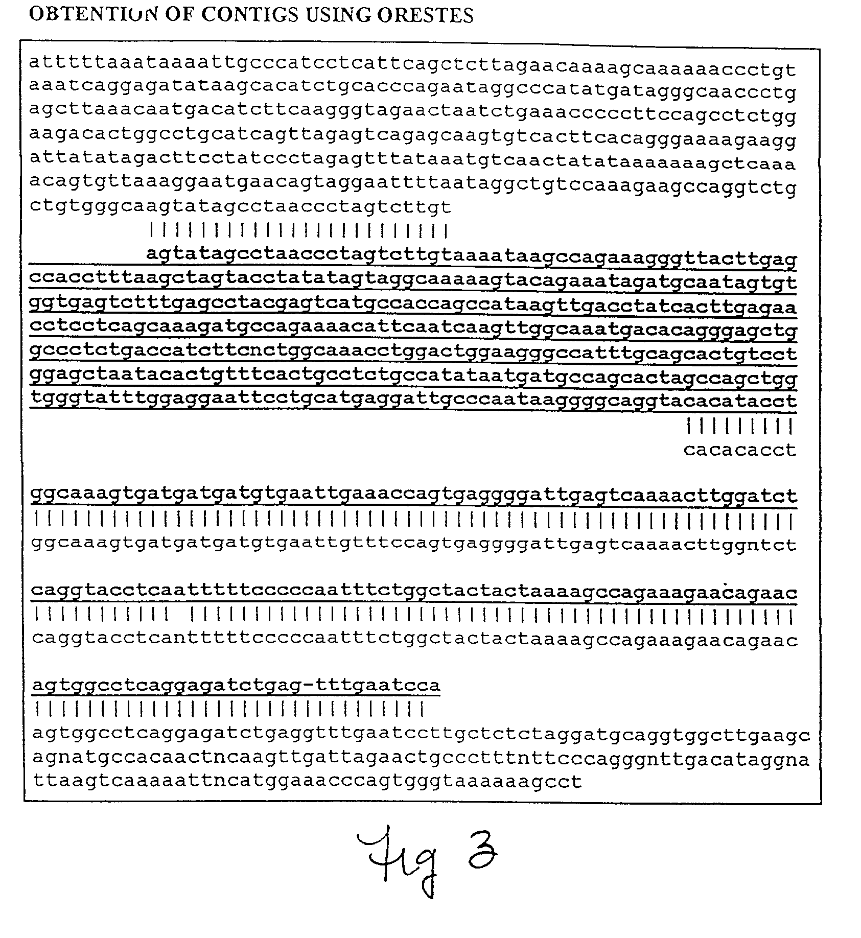 Method for determining nucleotide sequences using arbitrary primers and low stringency