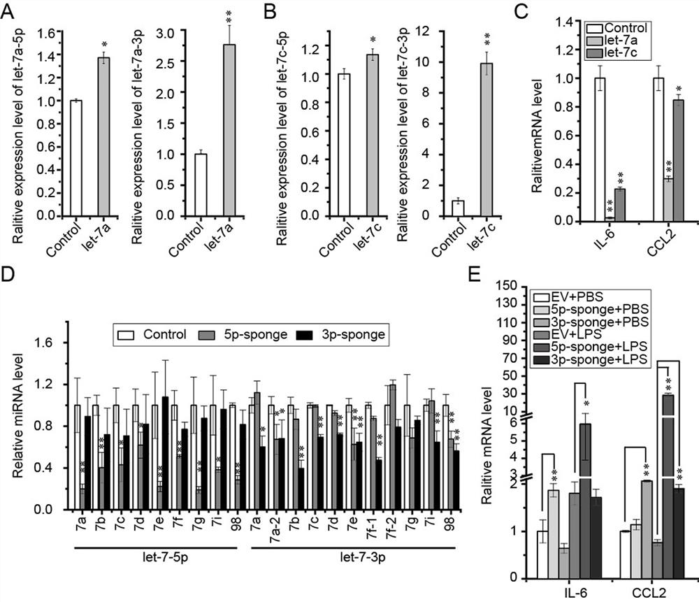 Application of 1,2,4triazolo4,3-bpyridazine derivatives in the preparation of anti-new coronavirus drugs