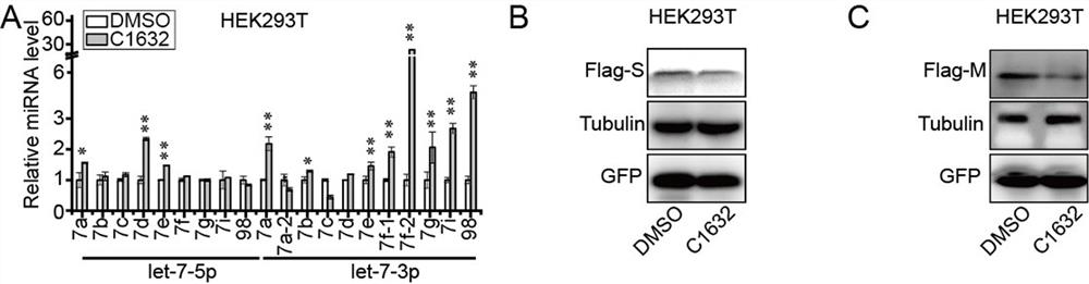 Application of 1,2,4triazolo4,3-bpyridazine derivatives in the preparation of anti-new coronavirus drugs