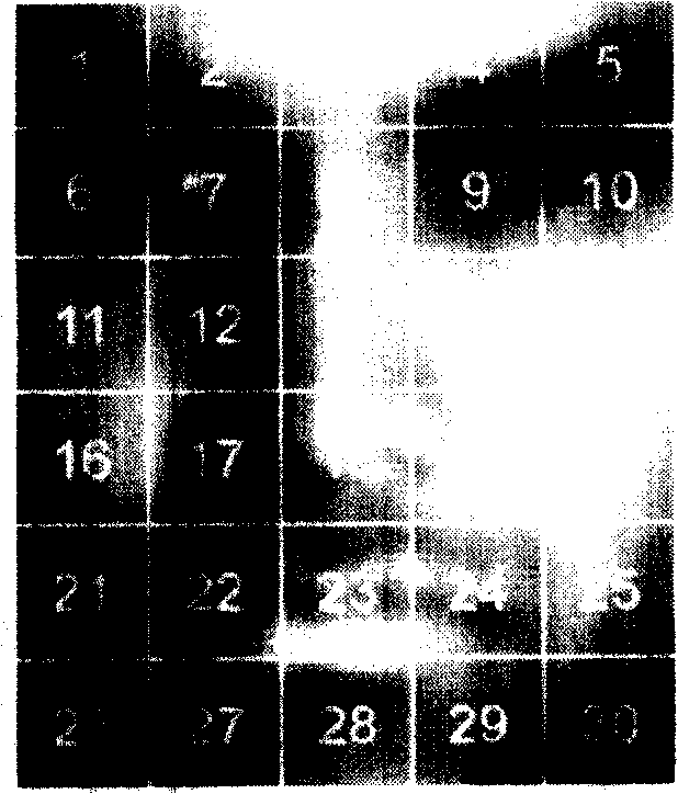 Human face identifying method based on structural principal element analysis