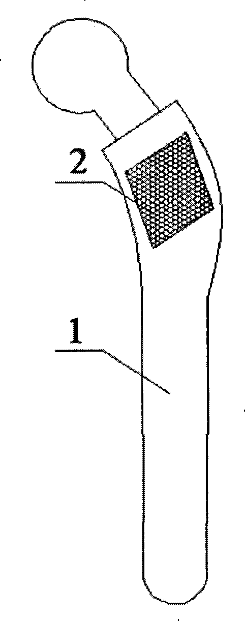 Local spatial grid structure artificial joint prosthesis and preparation method thereof