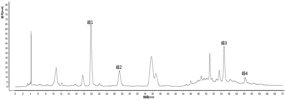 HPLC specific chromatogram of ampelopsis japonica formula granules as well as construction method and application thereof