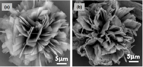 Cobalt-nickel bimetal phosphate flower-like microsphere electrocatalyst and preparation method thereof