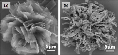 Cobalt-nickel bimetal phosphate flower-like microsphere electrocatalyst and preparation method thereof