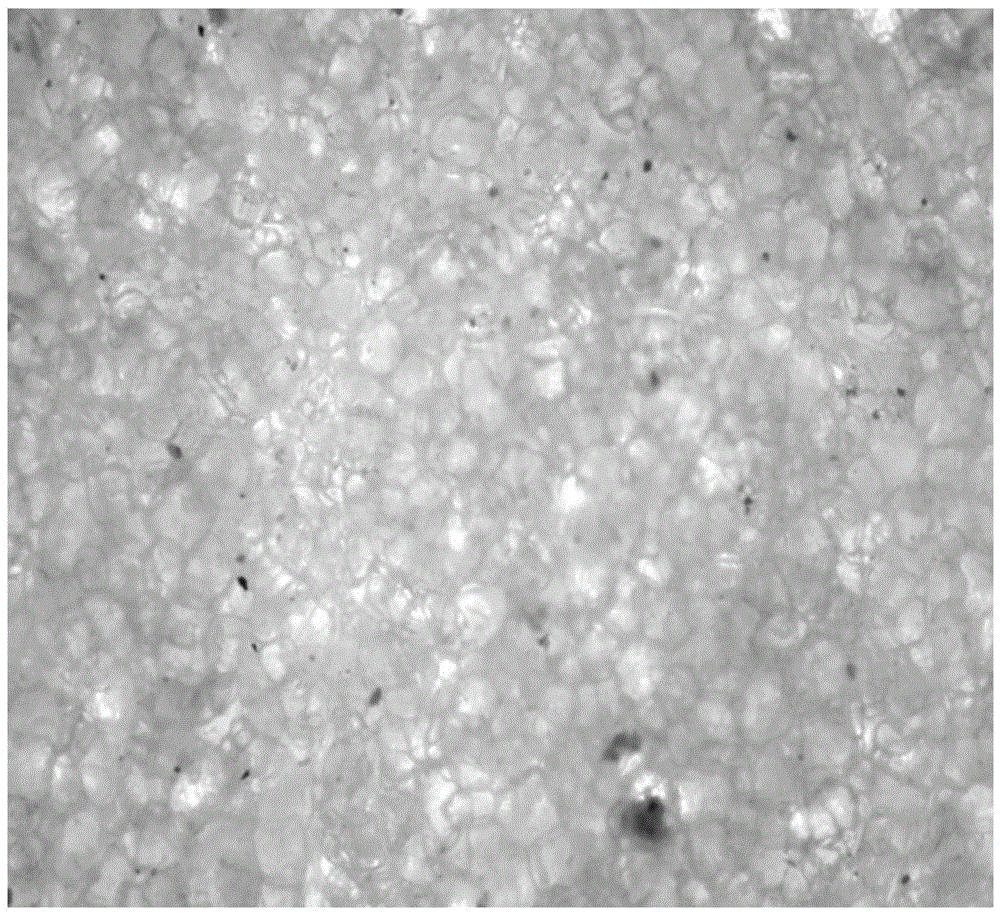 A kind of preparation method of opalescent glass coating with photocatalytic performance