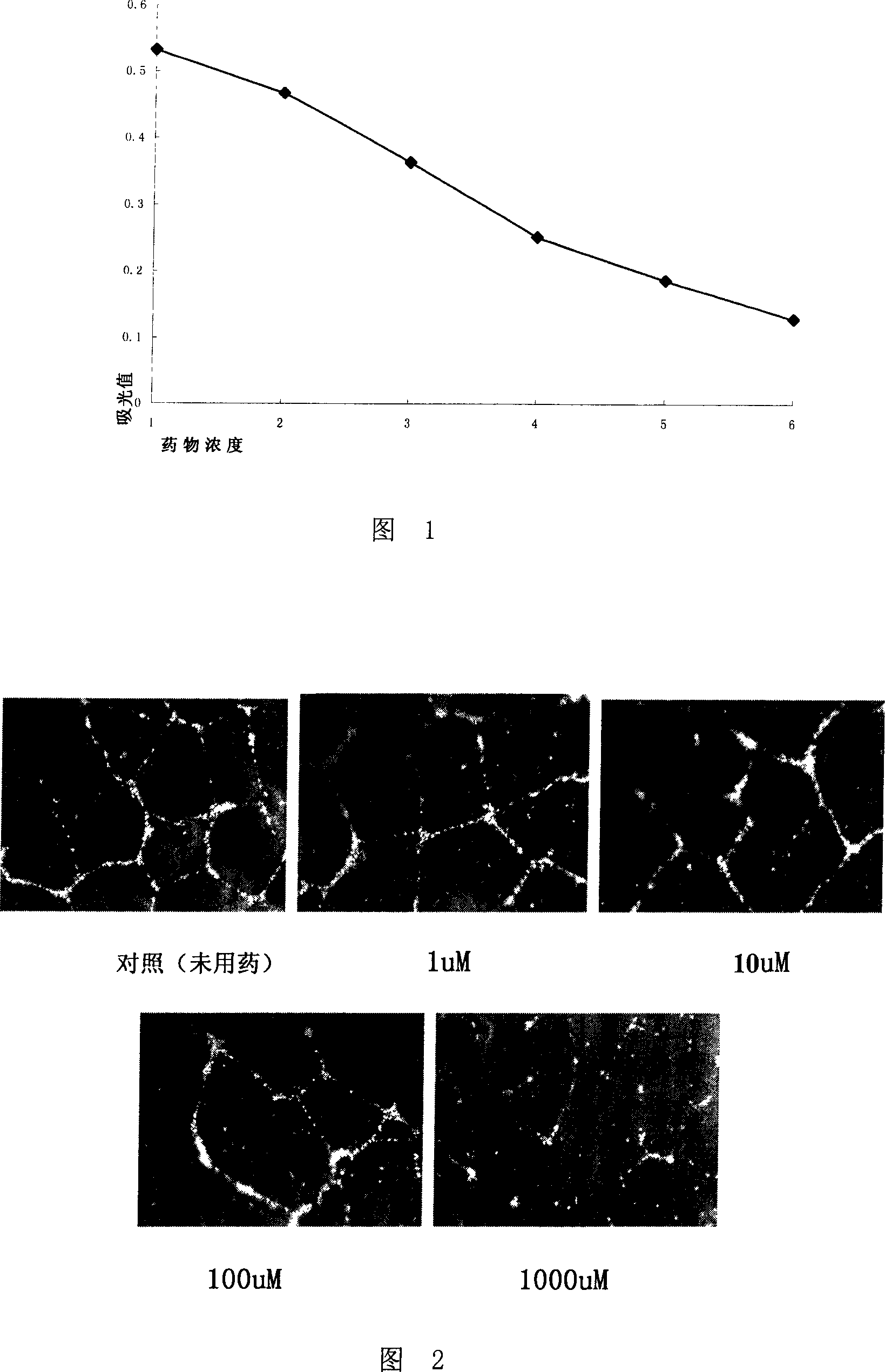 Use of chrysophanic acid in inhibiting vascularization