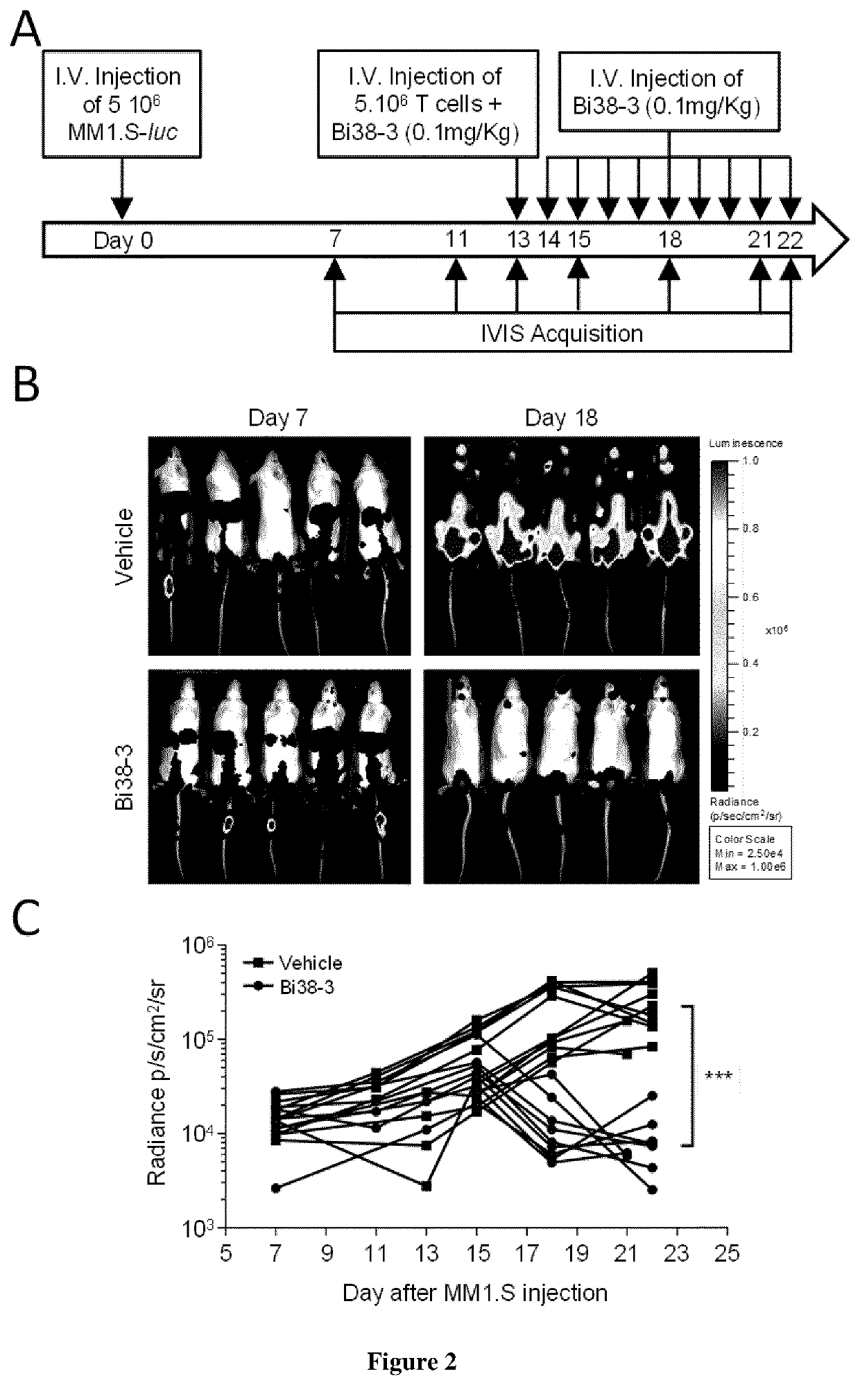 Antibodies having specificity for cd38 and uses thereof