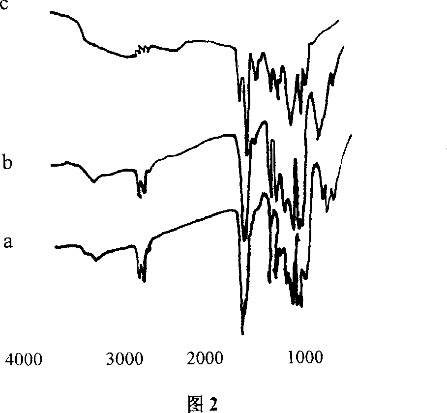 Diamine modified poly-latic acid, method for preparing same and use thereof