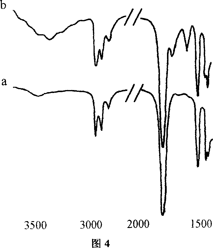 Diamine modified poly-latic acid, method for preparing same and use thereof