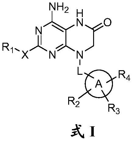 Dihydropteridinone derivatives, preparation method and use thereof