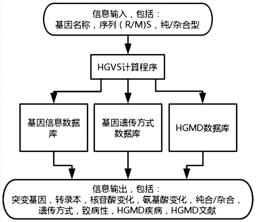 Implementation method for HGVS (Human Geome Variation Society) name generation and analysis system of human gene mutation