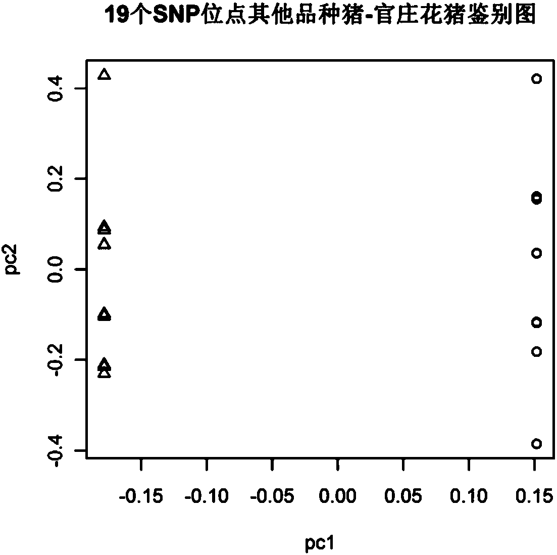 Guanzhuang spotted pig SNP site, SNP chip and detection primer combination thereof, detection kit and application and germplasm identification method thereof