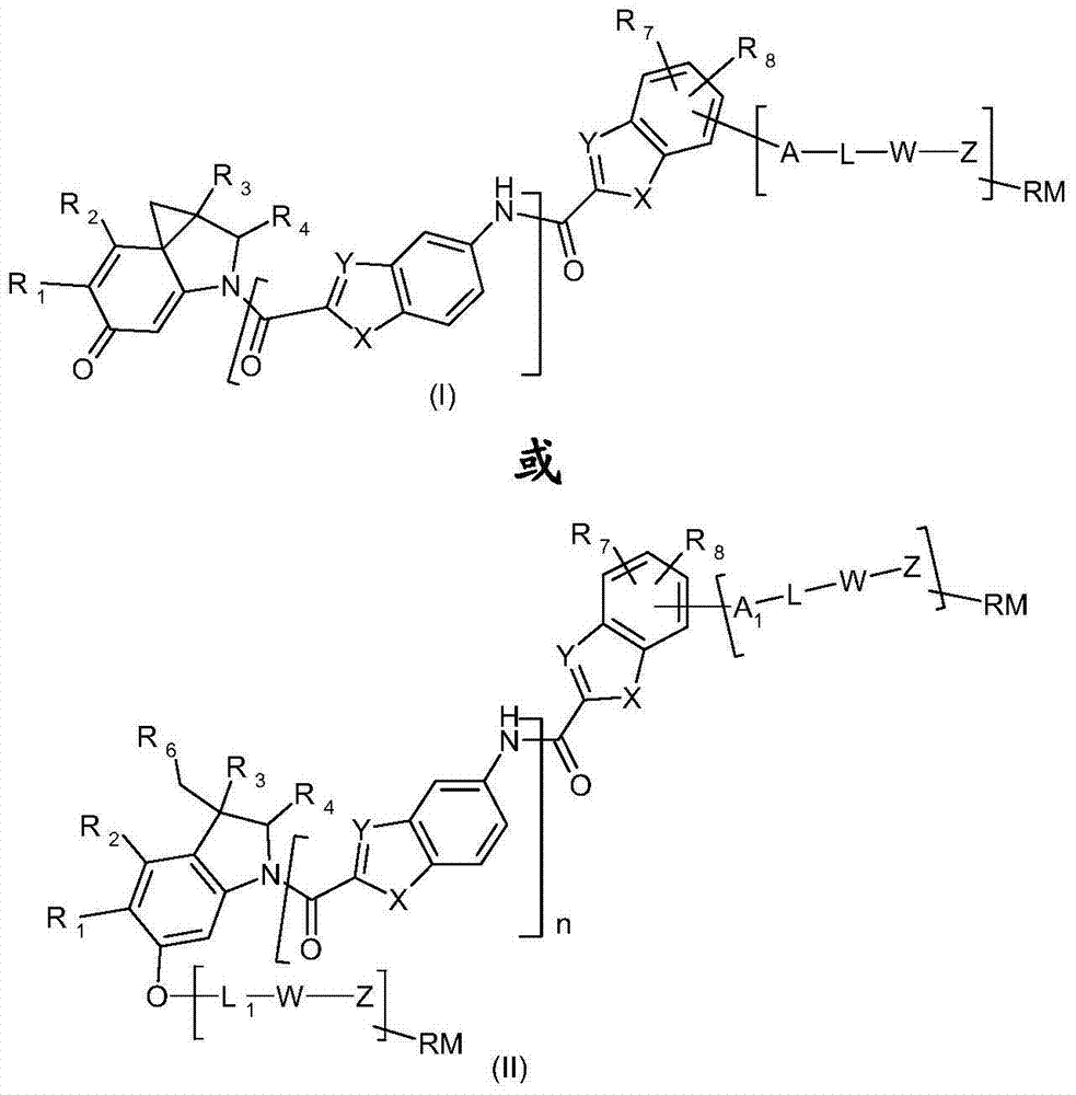 Functionalized thieno-indole derivatives for the treatment of cancer