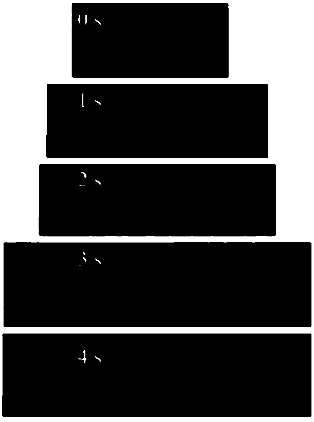 Super-hydrophobic super-oleophylic carbon material and preparation method thereof