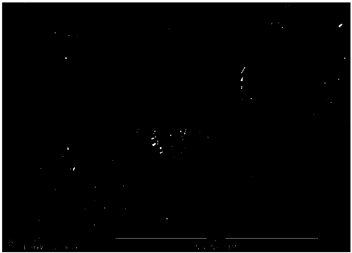 Super-hydrophobic super-oleophylic carbon material and preparation method thereof